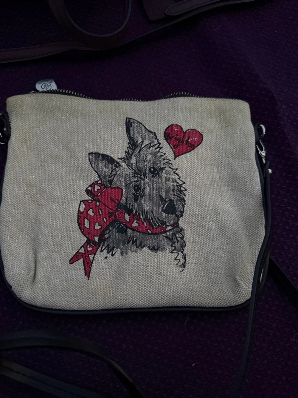 Kids Canvas Crossbody Bag - Cream with Pink/Red Accents Brighton